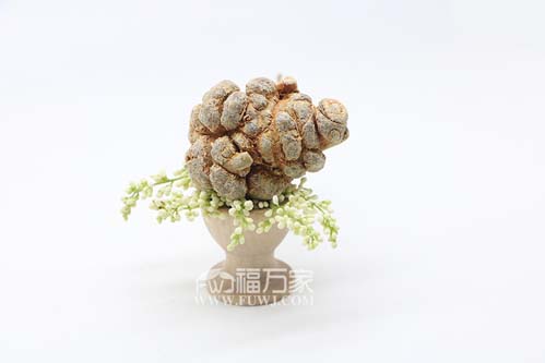 多少頭的三七最好？值得買嗎？