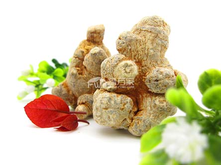 三七粉是作為保健品用嗎？