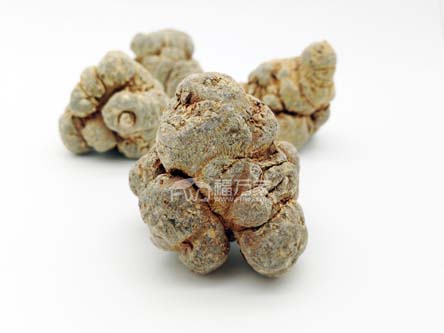 三七粉怎么買？