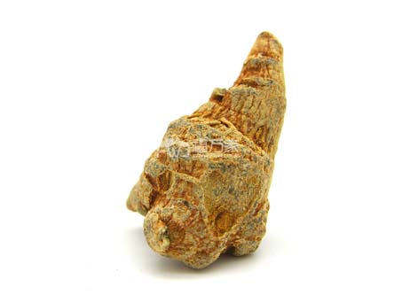 三七塊（整個(gè)的三七）
