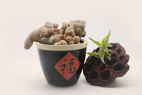 咳嗽能吃三七粉
