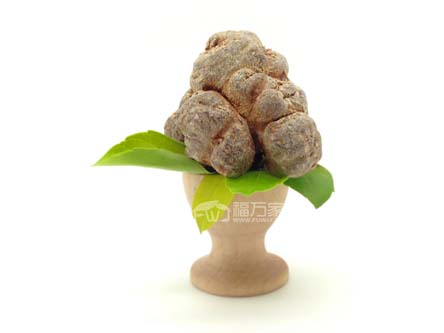 種三七的地要休養