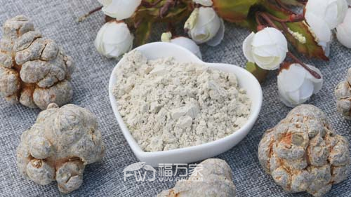 三七粉經常吃嗎