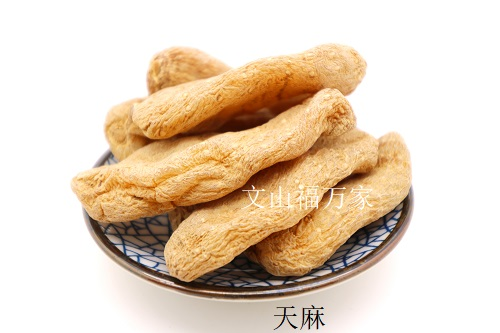 天麻可以與三七燉湯