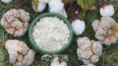 血壓高吃三七粉有用嗎