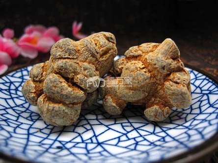20頭三七好嗎